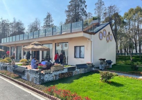 南新乡的春日漫游：油菜花与悠闲时光