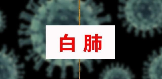 什么是白肺？发生白肺有什么感觉和表现？如何早发现？一文说清