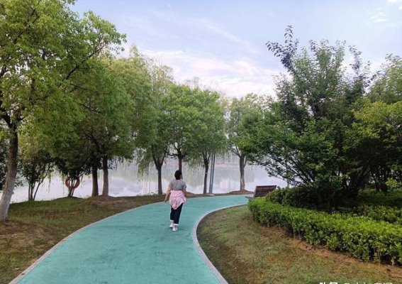 减肥其实可以很简单：掌握这些方法，你也能轻松管理体重