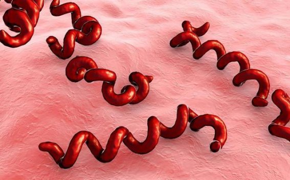 梅毒防治：别再后悔感染梅毒了，远离梅毒，医生忠告三件事最好不做