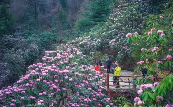 此生必游大秦岭——秦岭山脉首个旅游IP的诞生