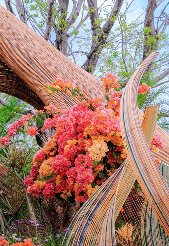 2025粤港澳花园大赛：在春风里邂逅诗意与梦想