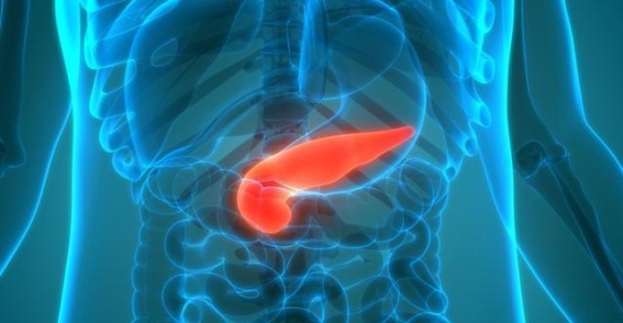 养好胰腺，守护生命健康，胰腺有问题时身体会有这些变化