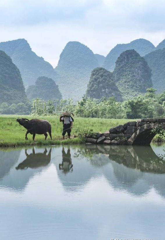 桂林山水，诗意流淌的画中游