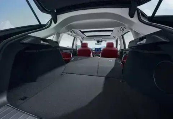 冠道燃油旗舰驾临  奢雅动力全面升级