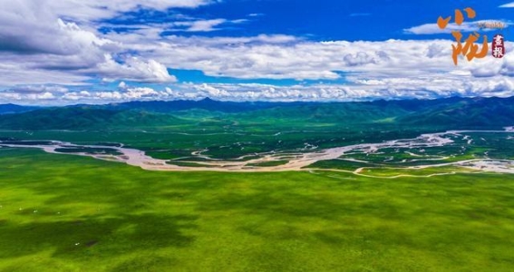 夏日甘南的诗意之旅