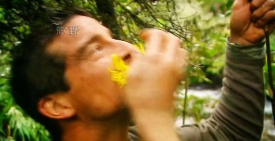 贝爷的亚马逊雨林之旅：食物、智慧与极限的较量