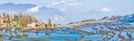 哈尼梯田的水源密码：森林与水系的和谐共生