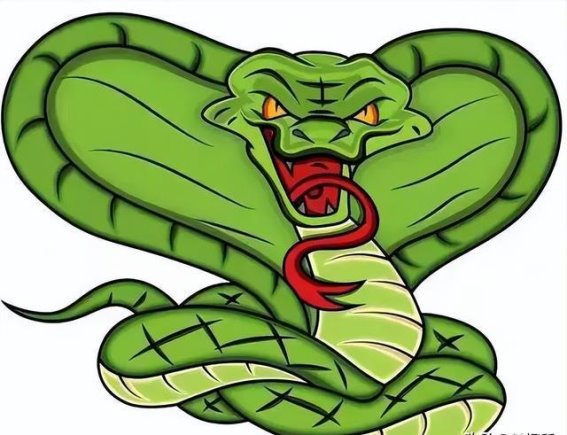 猪与蛇的微妙对抗：强大的野猪如何应对毒蛇？