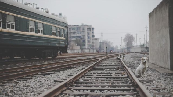 高铁拥挤压力：普速列车分流，交通资源优化解难题