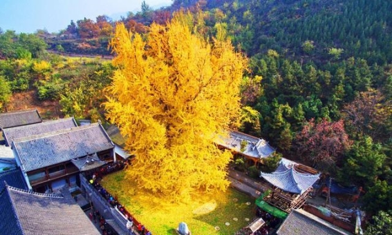 中国千年粮仓之谜：含嘉仓背后的科技奇迹