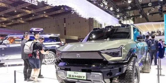 2025武汉国际车展：科技与创新的精彩碰撞