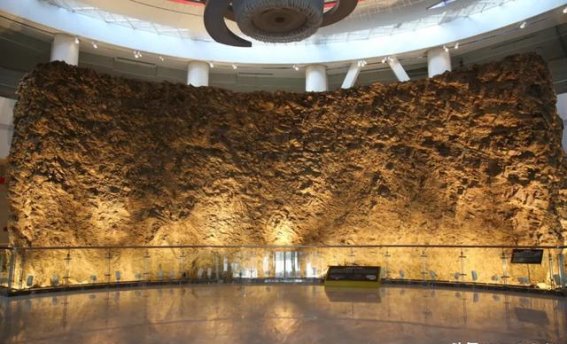 探寻澄江化石地的生命密码：共同守护这座自然遗产宝库