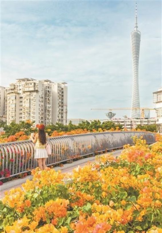 绿色生态引领未来广州，城市与自然共生