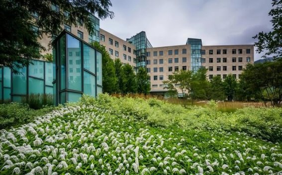 医院院长贪污揭秘：从基建到药品回扣，背后的腐败网络