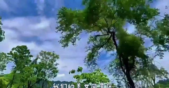 桐庐自驾之旅：穿越古镇、古村与山水之间的美丽之路