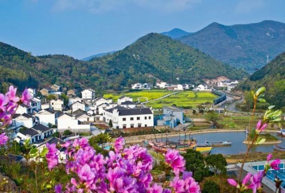 春日浙江，花海与文化的双重盛宴