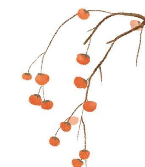 人造雪景：冰雪经济在冬季的崛起