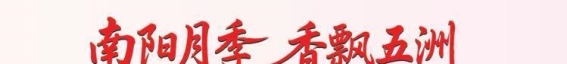 南阳十大月季赏花打卡地，邀您一同探寻