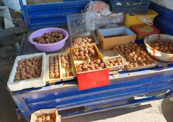 兴趣驱动下的文旅项目：以主题卖场为突破口