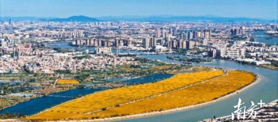 洪梅金色水乡稻田公园配套项目：水乡文化与生态休闲的完美融合