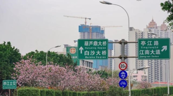 品悟江南白沙大道的悠久韵味与时代风华