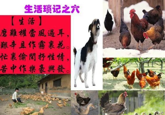 二十年前的宁阳与今天的生活变迁