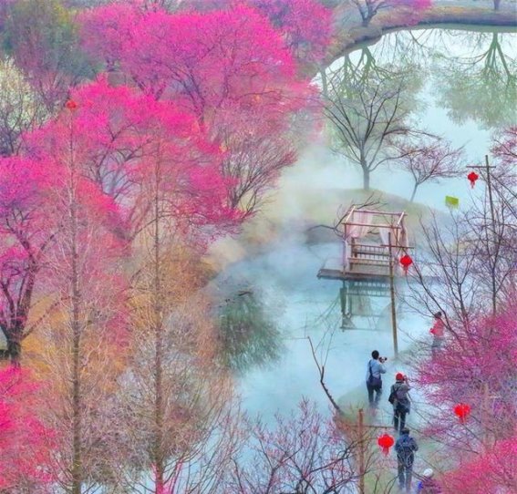 荆州打造“城市后花园”，探索乡村旅游新篇章