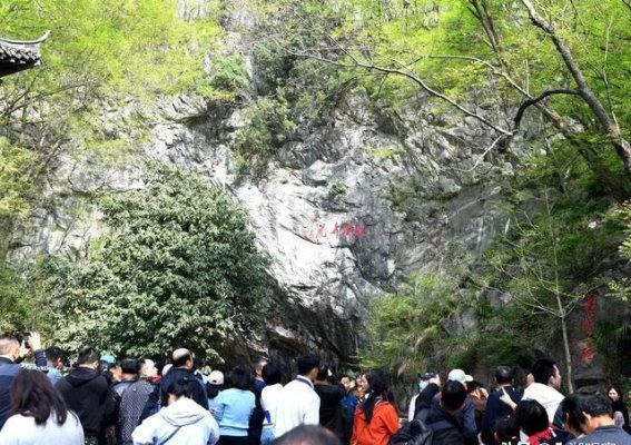 千年牡丹再绽银屏山，春色醉人