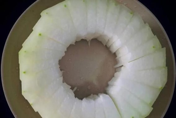 初伏饮食之道，助你舒适度夏