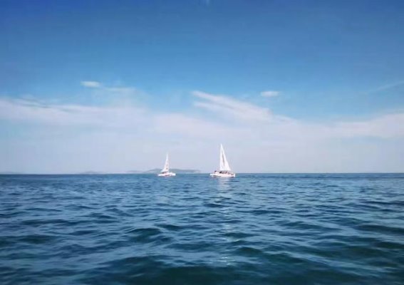 心灵的海洋与岁月的回响