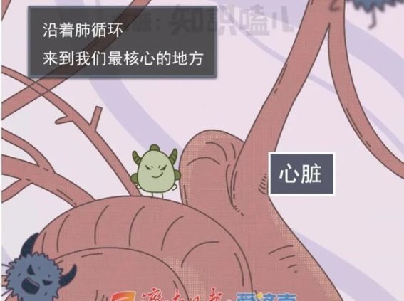 雾霾天气对心血管健康的影响及预防措施