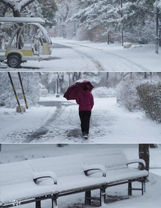 沈阳北陵公园的雪，跨越千年时光的低语
