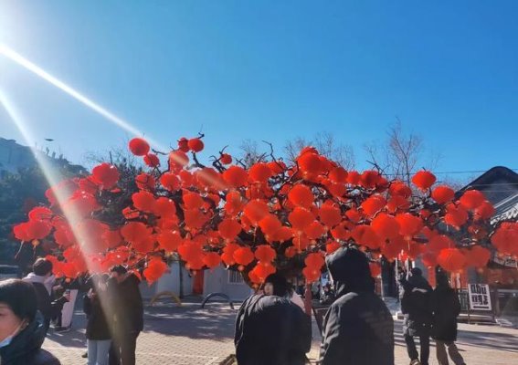 2025年北京地坛庙会：感受传统与现代交织的年味