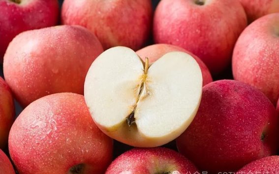 气温回升，高尿酸患者需谨慎防护，春季养生关键要点