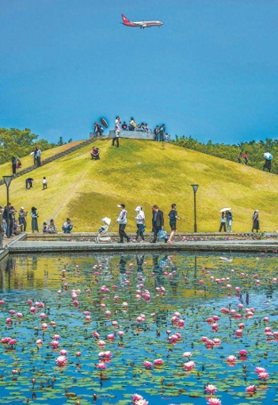 厦门：湖光莲影寄春色