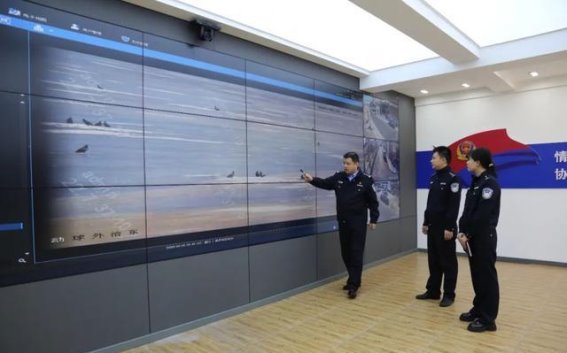 珲春春季候鸟保护百日行动全面启动