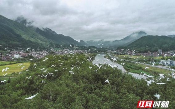 桂东：踏实走好新时代县域经济高质量发展之路