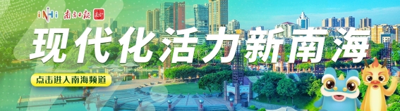 南海新纪元：回望2024，展望未来发展之路