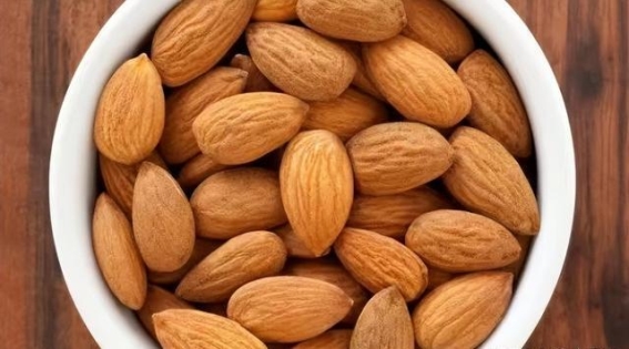 城市的春日絮语：人们与景色的交织