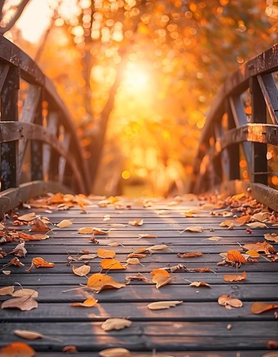 老年丧偶女性为何更健康长寿？三位老人分享她们的秘密