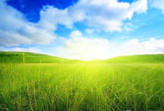 治愈身心的四个好习惯，让你从内到外焕然一新