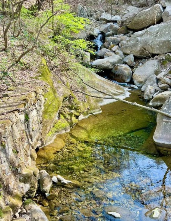 春日踏青去！莫辜负木札岭四月好春光