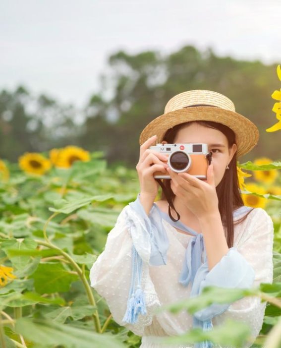冬季节庆活动的独特魅力