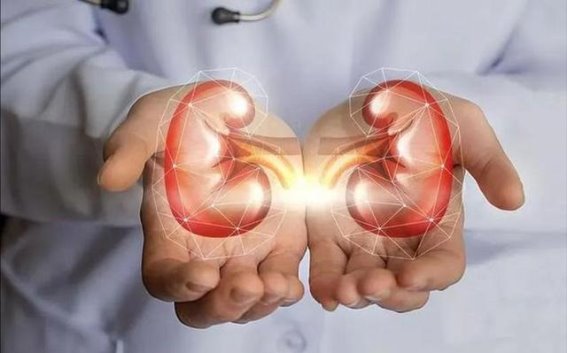 宗筋饱满离不开肾精，简单2味药泡水，补精强肝肾，回归少年体力