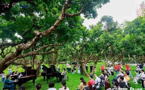 梅林山森林音乐节暨梅林街道营商环境推介会：以音乐为媒，助力产城融合