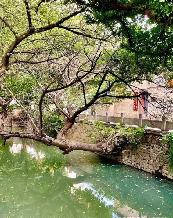 藏在福州闹市中的宁静花园——芙蓉园