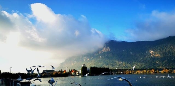 昆明篇：老太太的孤独之旅