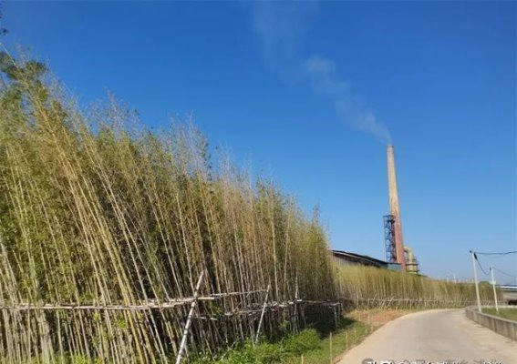 浦北马江河青春段：未来的自然休闲新地标