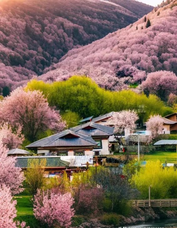 春天独自旅行的6个必去之地，走进中国最美的春色